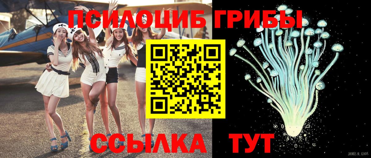 Галлюциногенные грибы прущие грибы  Шебекино  Галлюциногенные грибы прущие грибы 