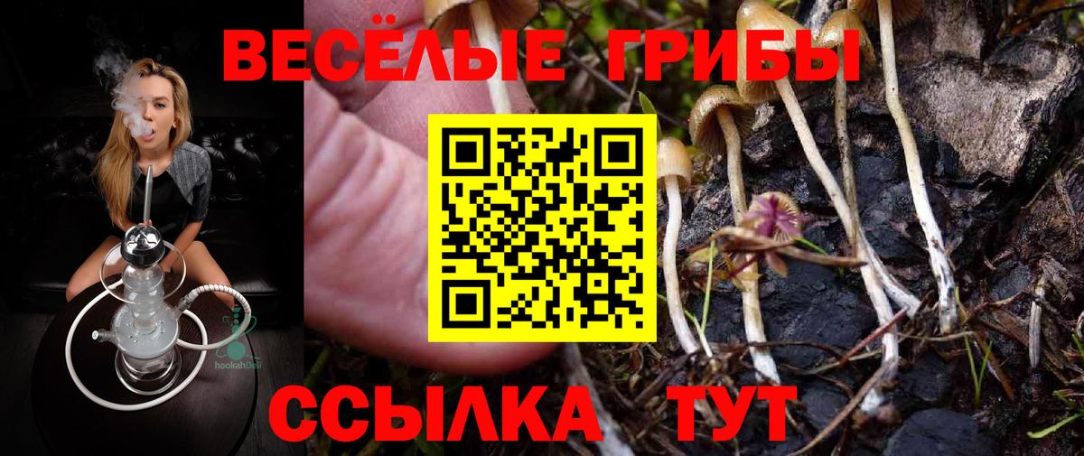 Шебекино  Галлюциногенные грибы MAGIC MUSHROOMS  Вход с VPN 
