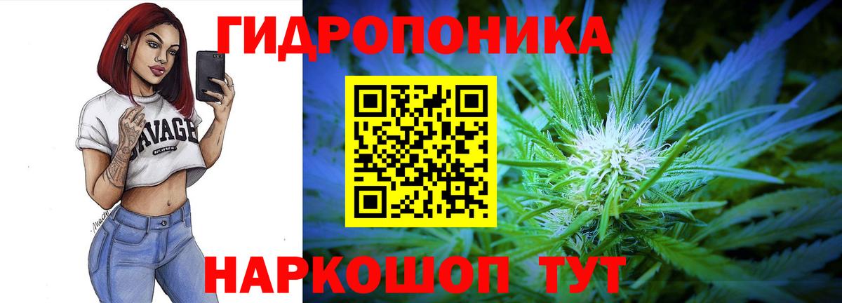 Бошки Шишки THC 21%  Шебекино  Бошки Шишки AK-47  Конопля планчик 